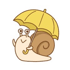 梅雨はどこ行ったのやら？