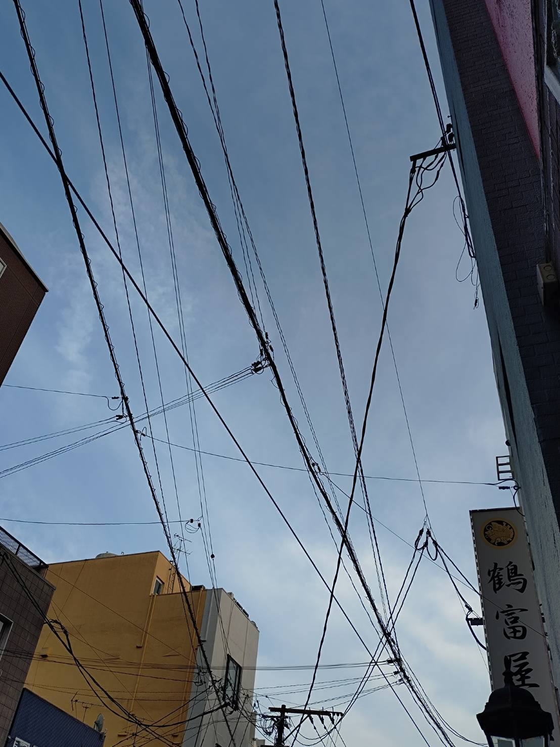 いい天気ですね～(≧▽≦)