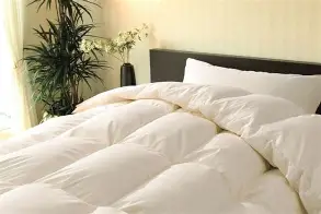 冬仕様の布団迷う